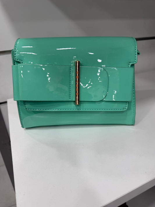 BORSA CHARRO CINTURONE LUCIDO